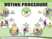 Leadership Renewal and the Limits of the Ballot