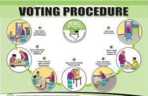 Leadership Renewal and the Limits of the Ballot